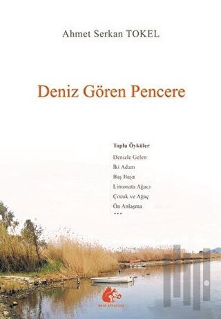 Deniz Gören Pencere | Kitap Ambarı