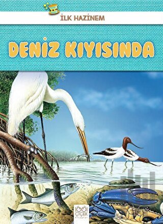 Deniz Kıyısında - İlk Hazinem | Kitap Ambarı