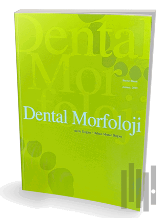 Dental Morfoloji | Kitap Ambarı