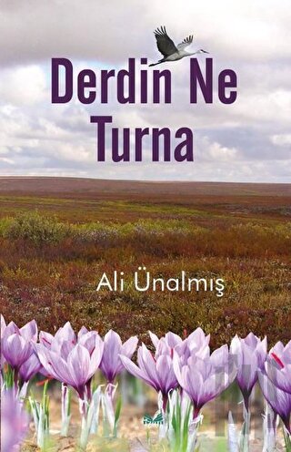 Derdin Ne Turna | Kitap Ambarı