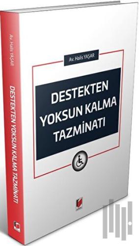 Destekten Yoksun Kalma Tazminatı | Kitap Ambarı