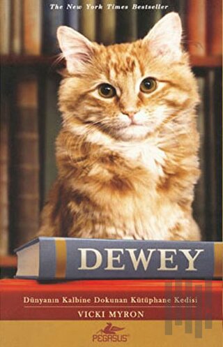 Dewey - Dünyanın Kalbine Dokunan Kütüphane Kedisi | Kitap Ambarı