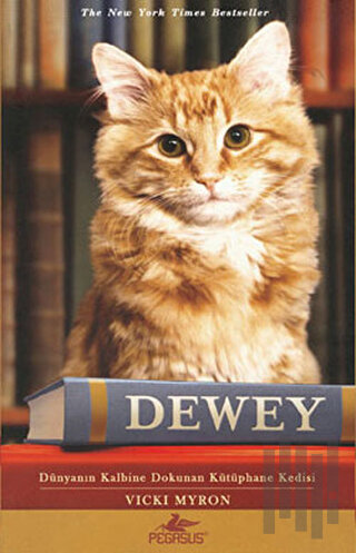 Dewey | Kitap Ambarı