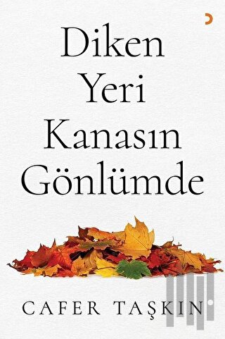 Diken Yeri Kanasın Gönlümde | Kitap Ambarı