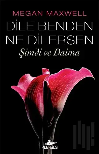 Dile Benden Ne Dilersen: Şimdi Ve Daima | Kitap Ambarı