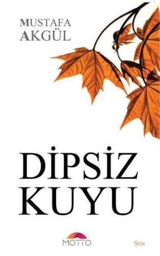 Dipsiz Kuyu | Kitap Ambarı