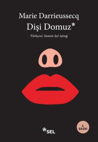 Dişi Domuz | Kitap Ambarı