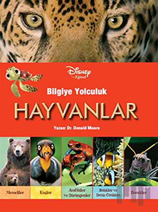 Disney Eğitsel- Bilgiye Yolculuk- Hayvanlar | Kitap Ambarı