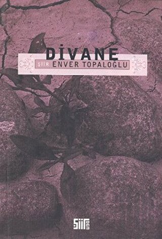 Divane | Kitap Ambarı