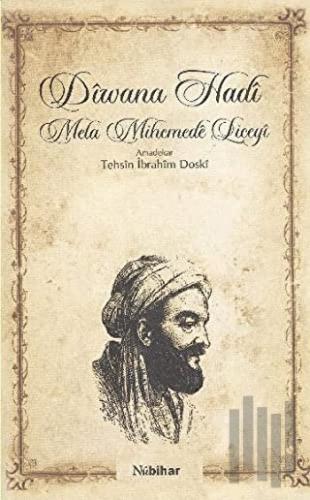 Diwana Hadi | Kitap Ambarı