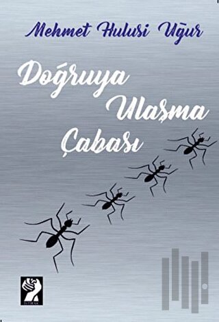 Doğruya Ulaşma Çabası | Kitap Ambarı