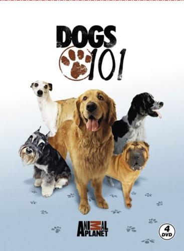 Dogs 101 - Köpekler | Kitap Ambarı