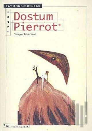 Dostum Pierrot | Kitap Ambarı