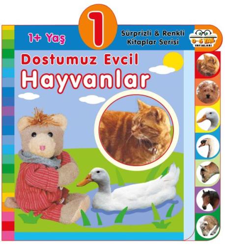 1+ Yaş Dostumuz Evcil Hayvanlar (Ciltli) | Kitap Ambarı