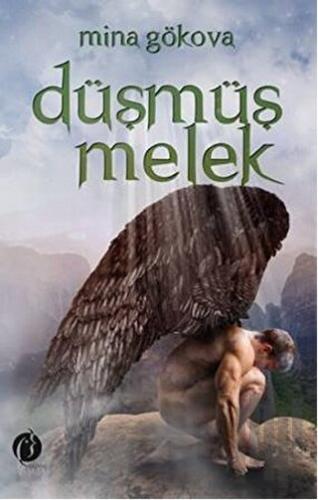 Düşmüş Melek | Kitap Ambarı