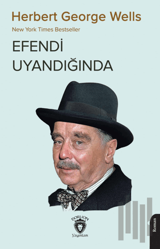 Efendi Uyandığında | Kitap Ambarı