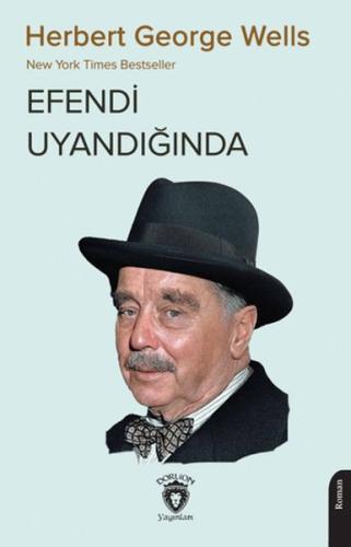 Efendi Uyandığında | Kitap Ambarı