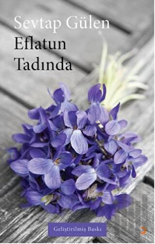 Eflatun Tadında | Kitap Ambarı