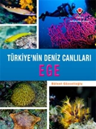 Ege - Türkiye'nin Deniz Canlıları (Ciltli) | Kitap Ambarı