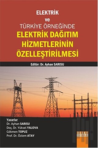 Elektrik Dağıtım Hizmetlerinin Özelleştirilmesi | Kitap Ambarı