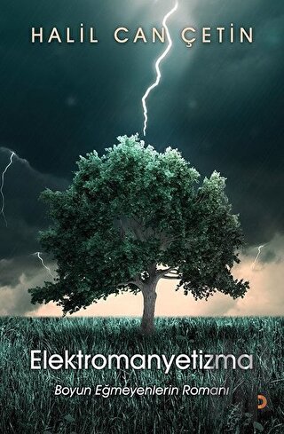 Elektromanyetizma | Kitap Ambarı