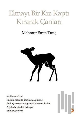 Elmayı Bir Kız Kaptı Kırarak Çanları | Kitap Ambarı