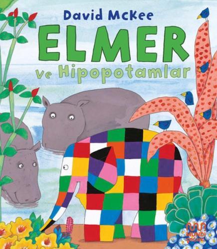 Elmer ve Hipopotamlar | Kitap Ambarı