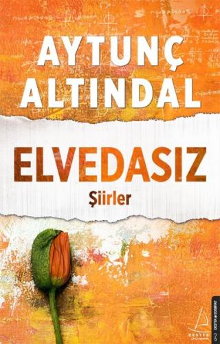 Elvedasız | Kitap Ambarı