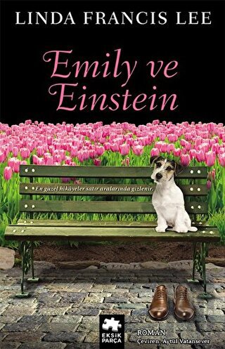 Emily ve Einstein | Kitap Ambarı