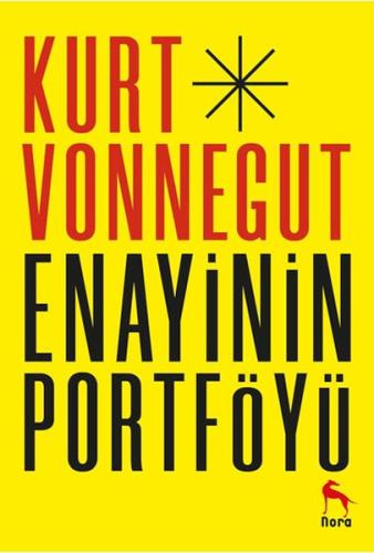 Enayinin Portföyü | Kitap Ambarı