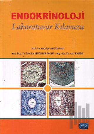 Endokrinoloji | Kitap Ambarı