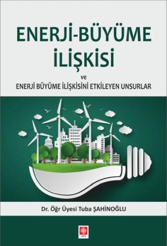 Enerji-Büyüme İlişkisi ve Enerji Büyüme İlişkisini Etkileyen Unsurlar 