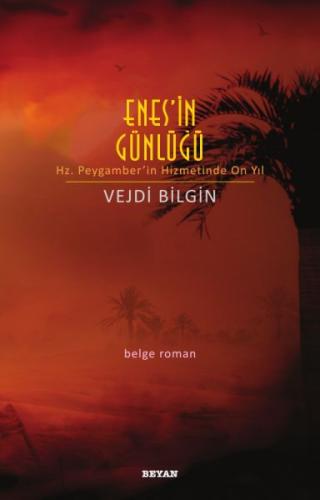 Enes'in Günlüğü | Kitap Ambarı