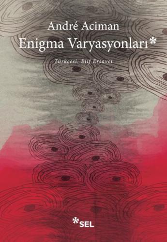 Enigma Varyasyonları | Kitap Ambarı