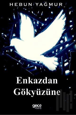 Enkazdan Gökyüzüne | Kitap Ambarı