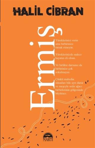 Ermiş | Kitap Ambarı