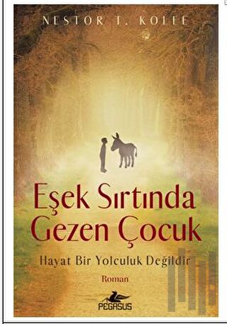 Eşek Sırtında Gezen Çocuk | Kitap Ambarı