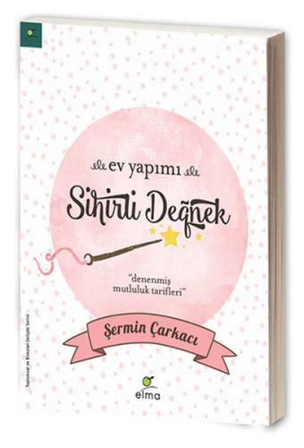 Ev Yapımı Sihirli Değnek | Kitap Ambarı