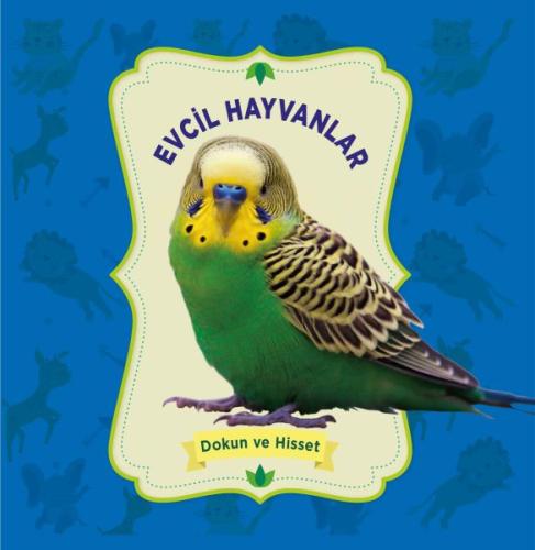 Dokun ve Hisset: Evcil Hayvanlar | Kitap Ambarı