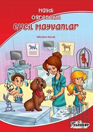 Evcil Hayvanlar - Haydi Öğrenelim | Kitap Ambarı