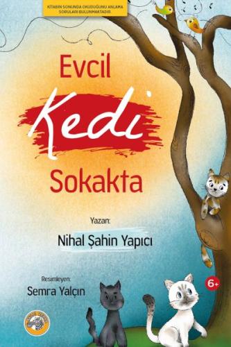 Evcil Kedi Sokakta | Kitap Ambarı