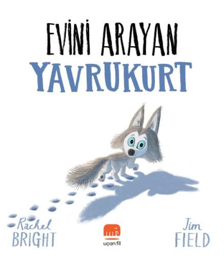 Evini Arayan Yavrukurt | Kitap Ambarı