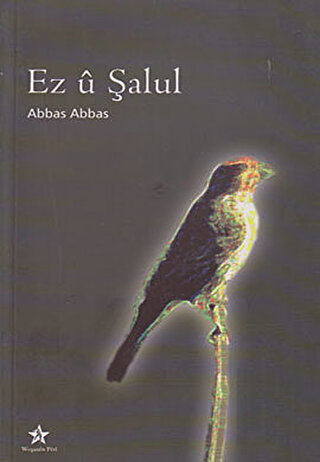 Ez u Şalul | Kitap Ambarı