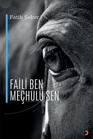 Faili Ben Meçhulü Sen | Kitap Ambarı