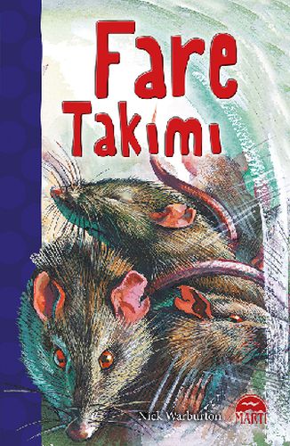 Fare Takımı | Kitap Ambarı