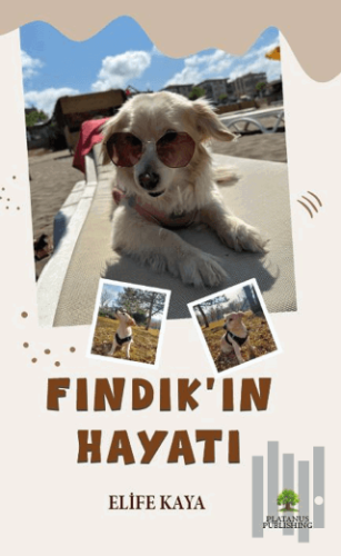 Fındık’ın Hayatı | Kitap Ambarı