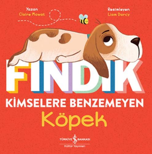 Fındık Kimselere Benzemeyen Köpek | Kitap Ambarı