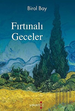 Fırtınalı Geceler | Kitap Ambarı