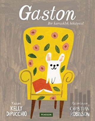 Gaston - Bir Karışıklık Hikayesi | Kitap Ambarı