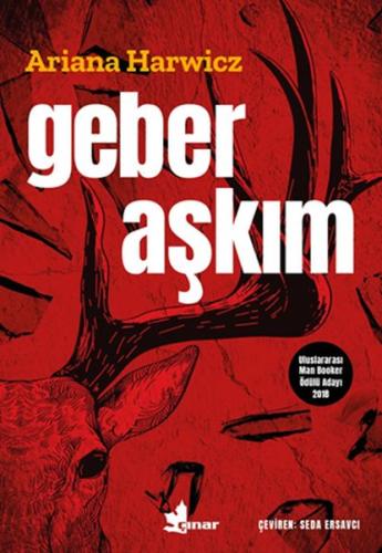 Geber Aşkım | Kitap Ambarı